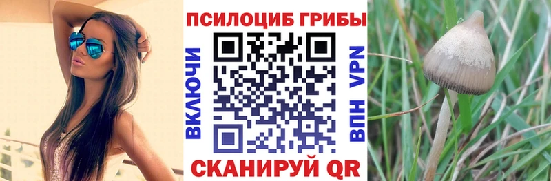 Галлюциногенные грибы мухоморы  Александровск-Сахалинский 
